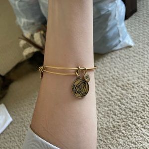 Alex and Ani new bracelet